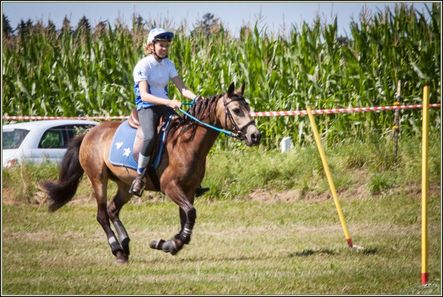 Mounted Games 067